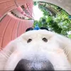 sacoco_5