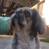 the.pekinsky_palacin