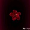 usgfdhkfkklcgb5536