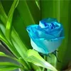 zahrazahra66876