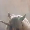 halfunicornn