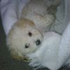 rachelo0503