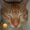 pnggzx_