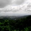 dulcijun