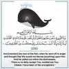 abudoraalkoraishi