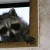 maxiiiiiiiiiiiiiimmmmmmm