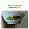 user4810916021294
