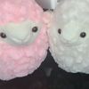 sheepbaaba