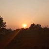 sun_set.58
