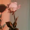 hoai031070