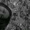 dorr_132