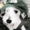 _fedex_edits_01_