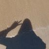 starlight_wthy