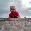 bibioleng156