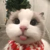 dtimlkganihu02