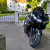 sasowolfypeklar