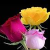 user2216836600799