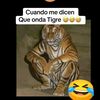 user2718375850772