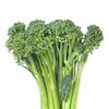 dr.babybroccoli