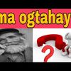 abdirisakahmed537