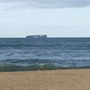 1free_sailing