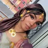 meriogi6