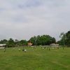 estuardotrinidad0