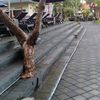 mohammadmunif141