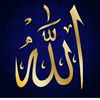 alquran11000