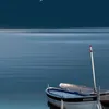 piano20513