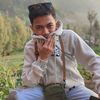 apekk233