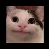 mary_potatoe