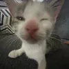 kx_wsn