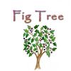 figtreebiblestudies