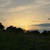abby_crawford_