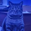 jason_bo_bason