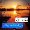 shaemaa.ezzat