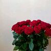 user98808144990
