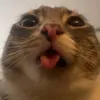 caobone0