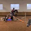 _equestrian_.zuza_
