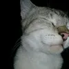so_um_cara_lindo