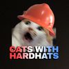 CatsWithHardHats