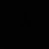 dvdtt12