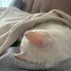 ritabrkicc