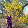 loanhuynh4720
