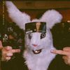 trashpandaest1981