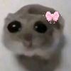 biya_yang