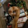 mr_kittensworth