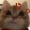 theanhcute.1
