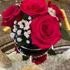 user2910676497715